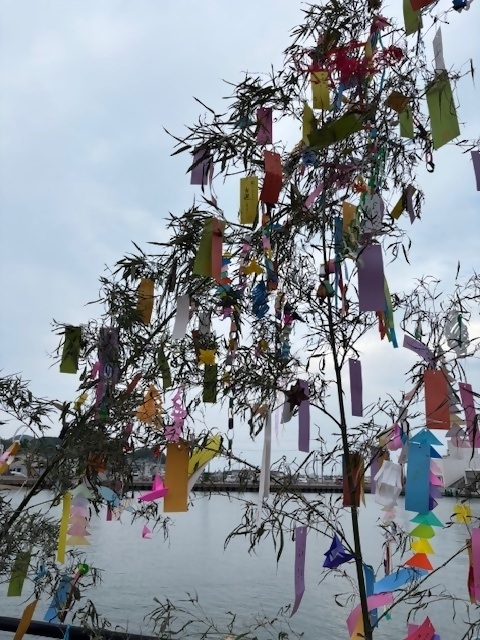 実施レポート画像 1