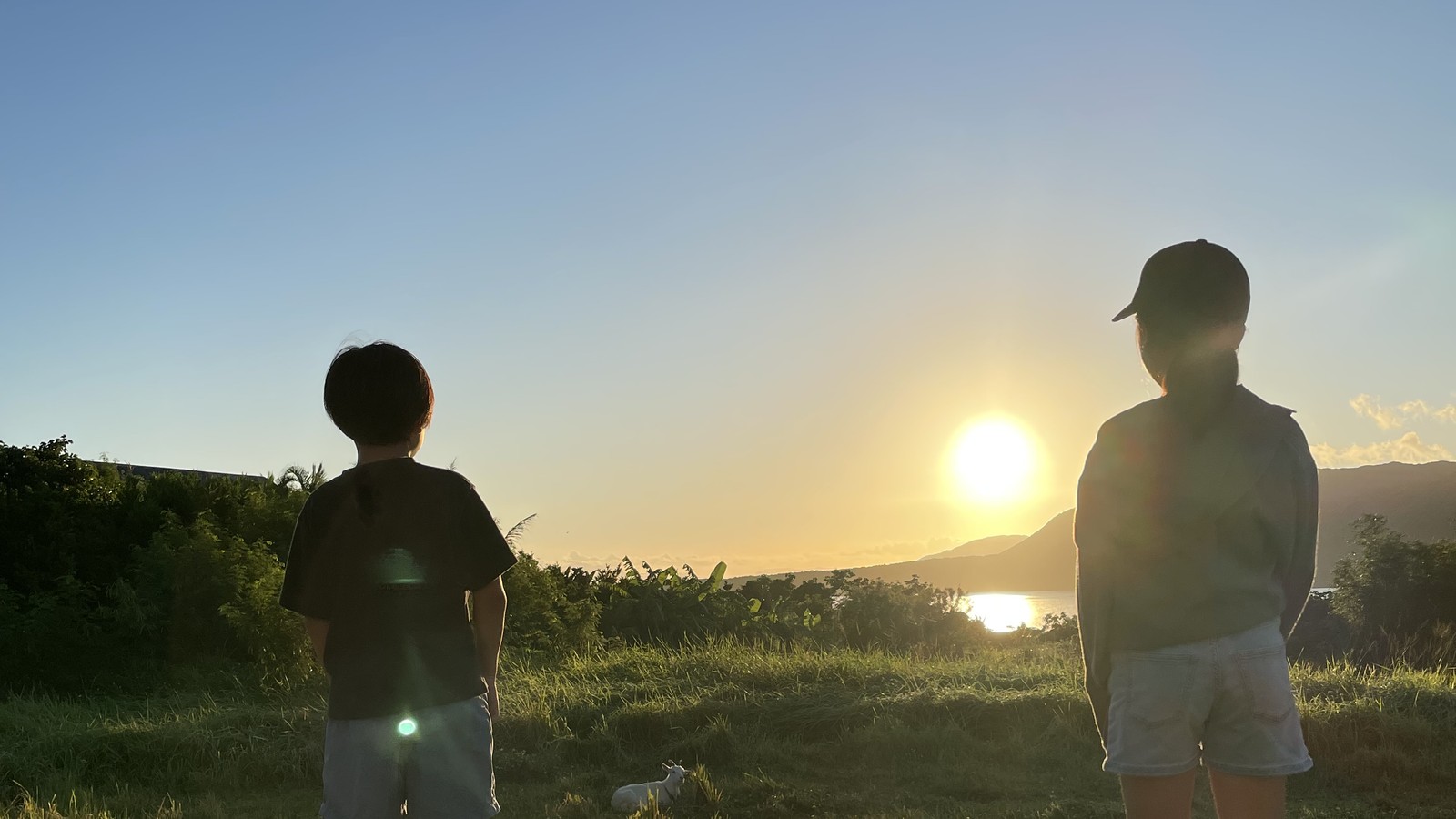 朝の歯みがきから夜のお風呂まで｜歯科衛生士ママの"ととのえ"ルーティン【実体験】