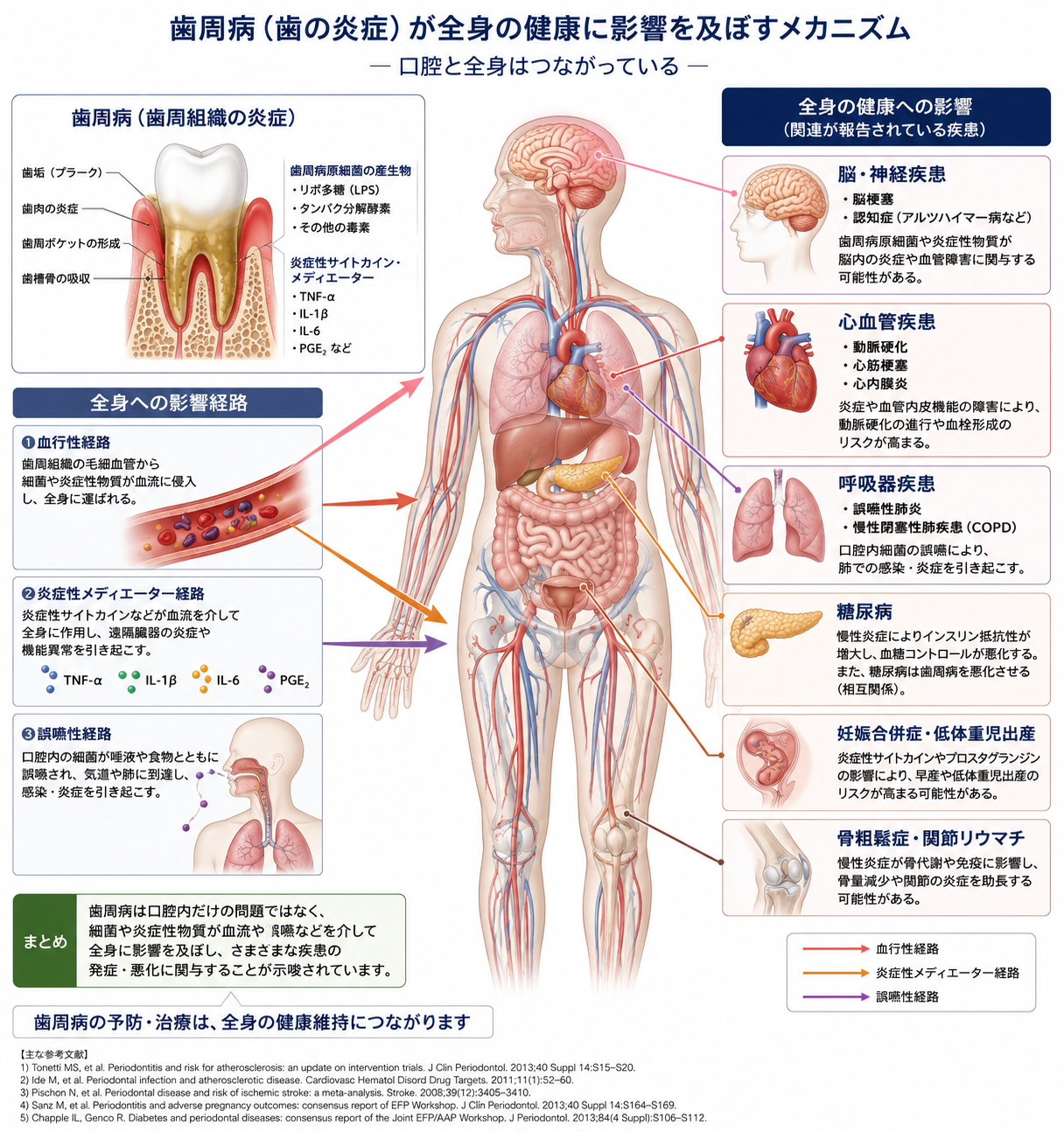 歯周病と全身の健康｜気づかないうちに進む怖さと、今日からできる正しいケア【歯科衛生士が解説】