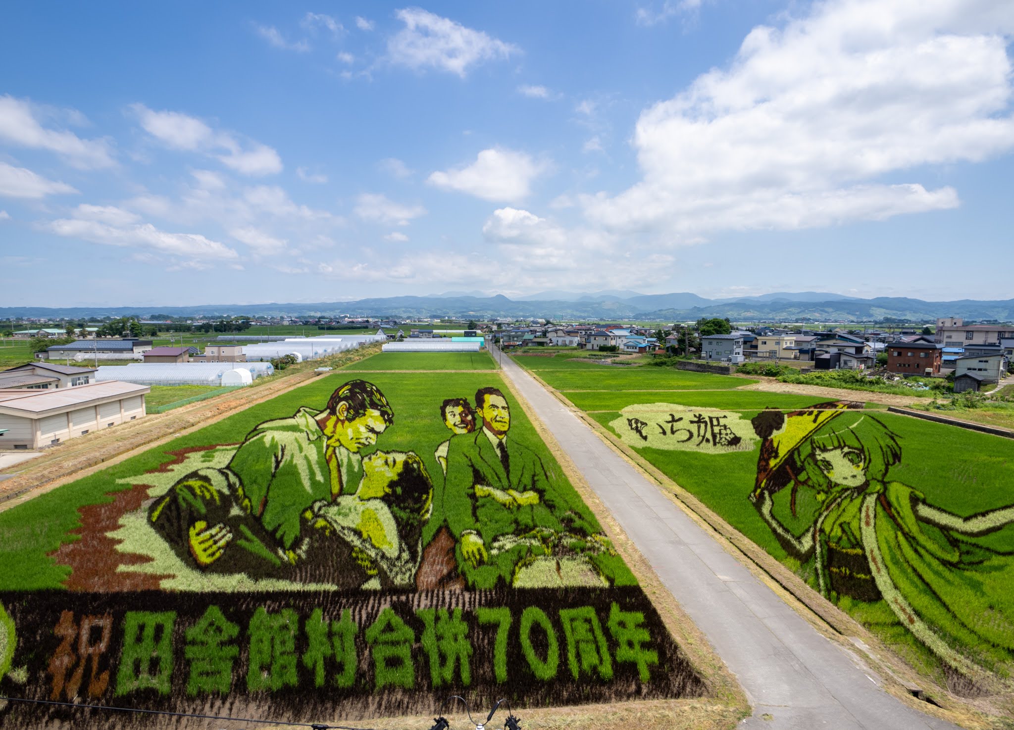 田舎館村田んぼアート】2025年キセキの田んぼアートが見頃