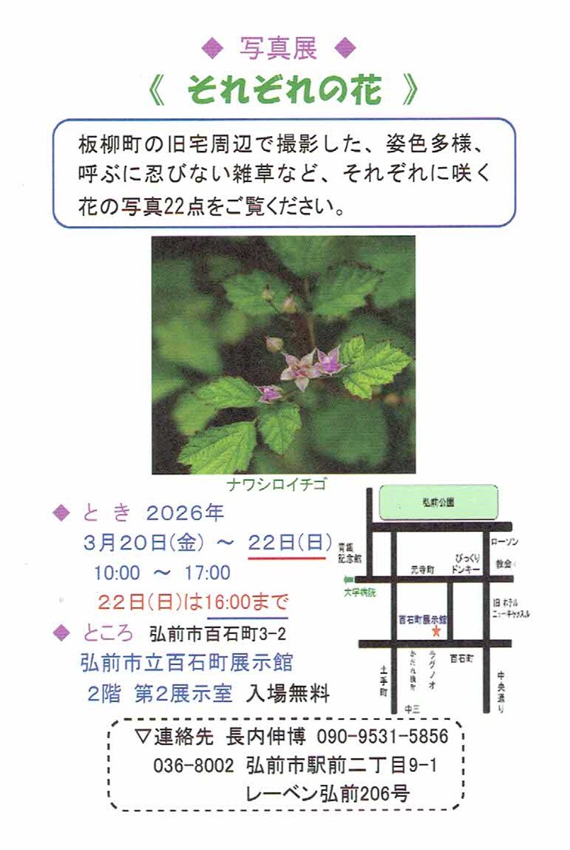 写真展「それぞれの花」