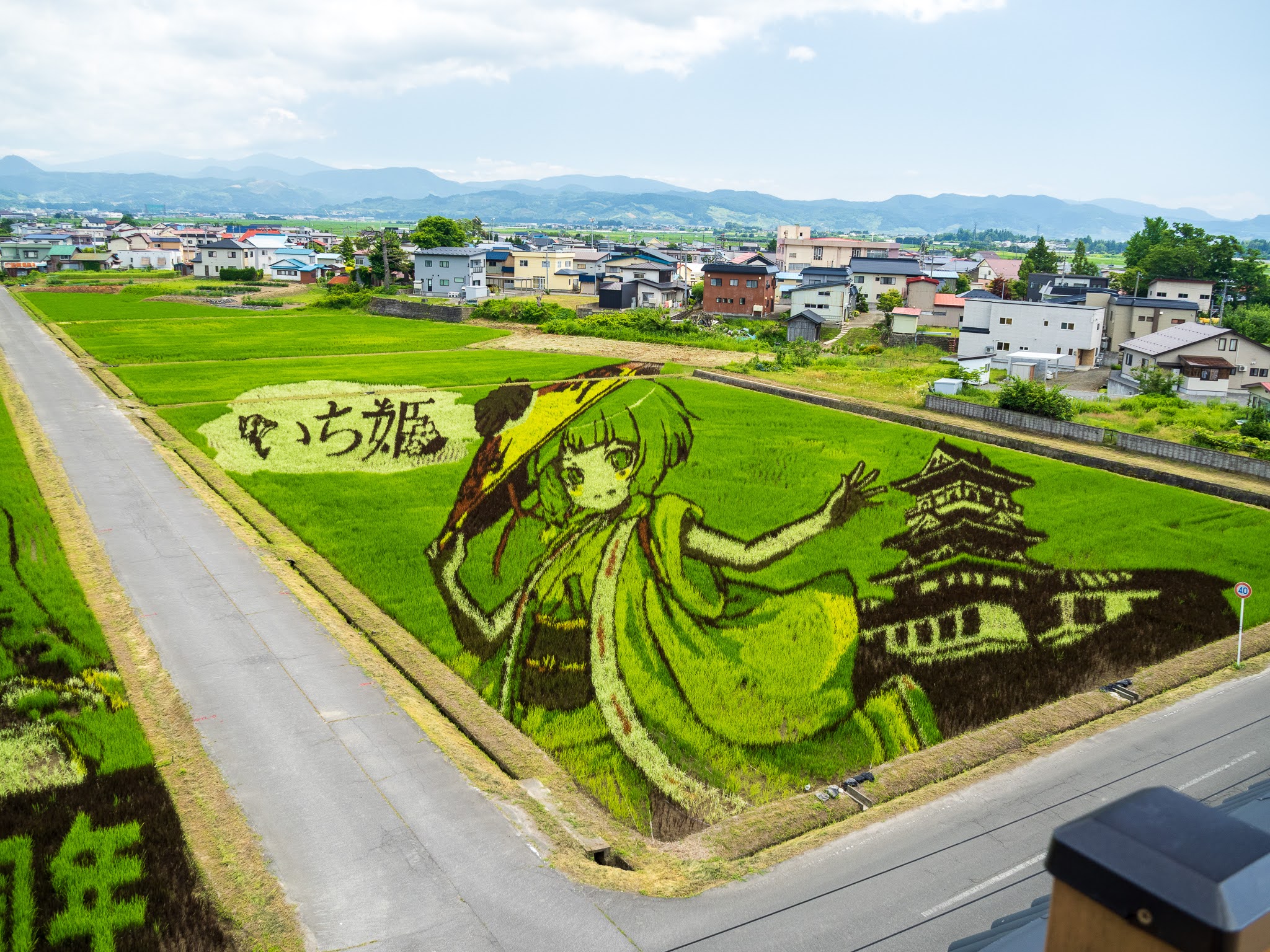 田舎館村〉【田んぼアート】2025年キセキの田んぼアートが見頃！ その