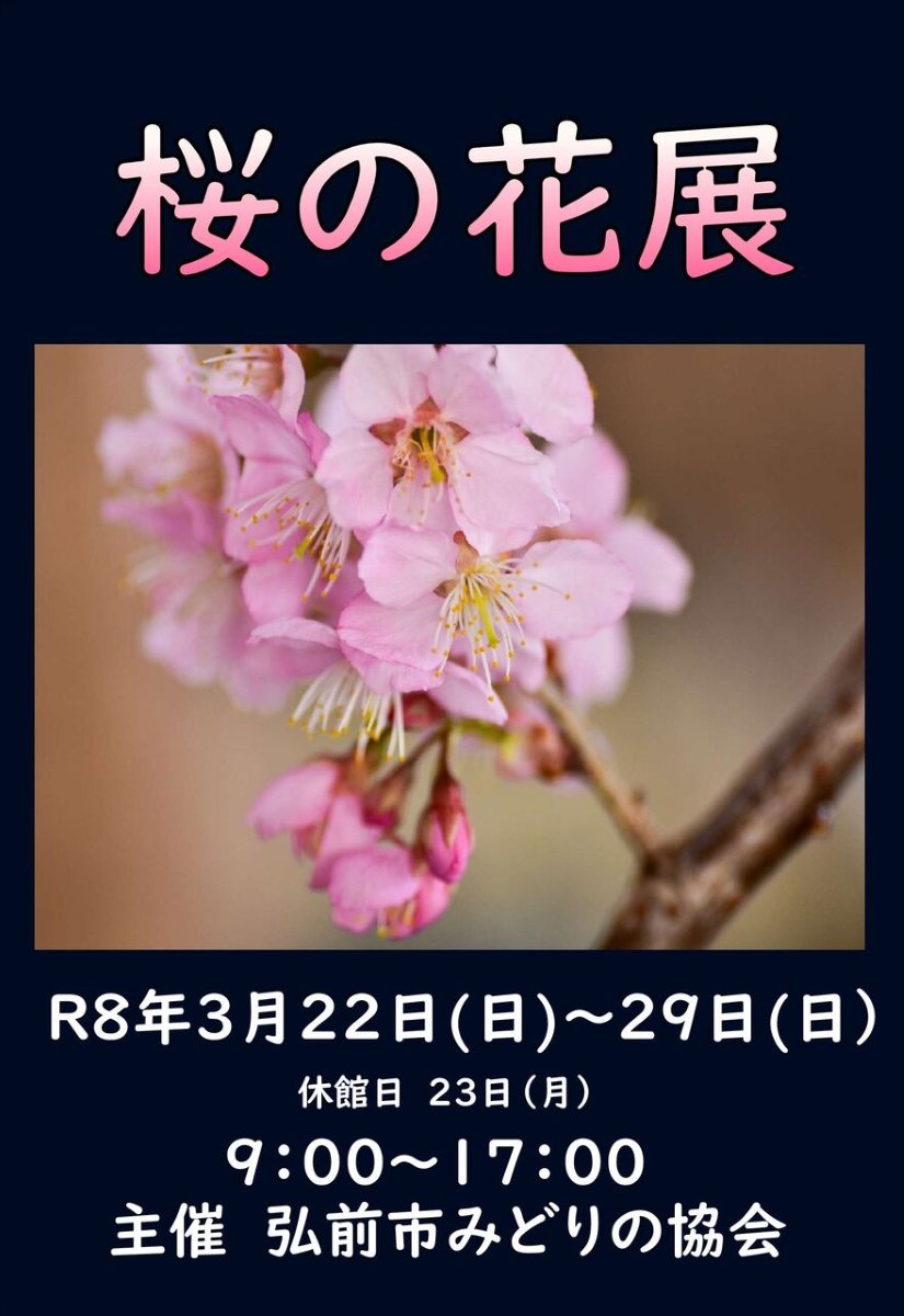 桜の花展