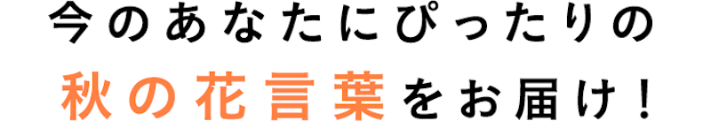 今のあなたにぴったりの秋の花言葉をお届け!