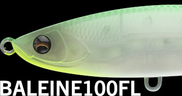 BALEINE100FL