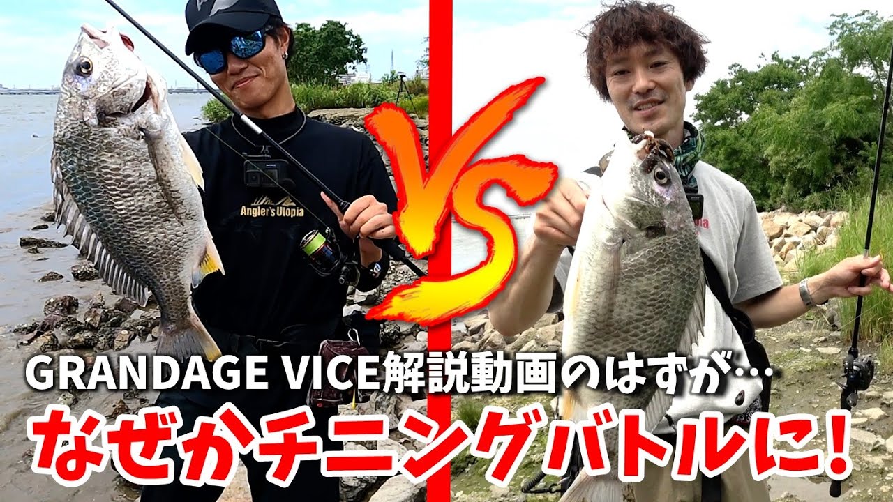 GRANDAGE VICE | APIA