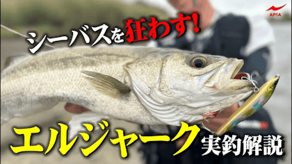 【リアクションバイトを誘発！】シーバスを狂わす「エルジャーク」を実釣解説！