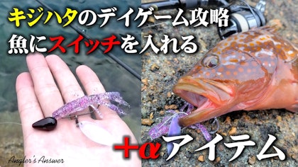 【Angler's Answer キジハタのデイゲーム攻略 in 山陰】魚にスイッチを入れる＋αアイテム