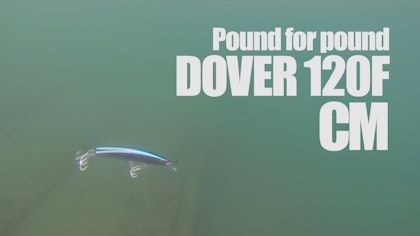 AGTV.16 【DOVER 120F】 〜2015年4月発売予定 APIAミノー