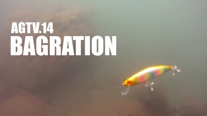 AGTV.14 【 BAGRATION 】（バグラチオン）RED中村解説＆水中動画