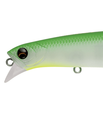 LAMMTARRA130FL
