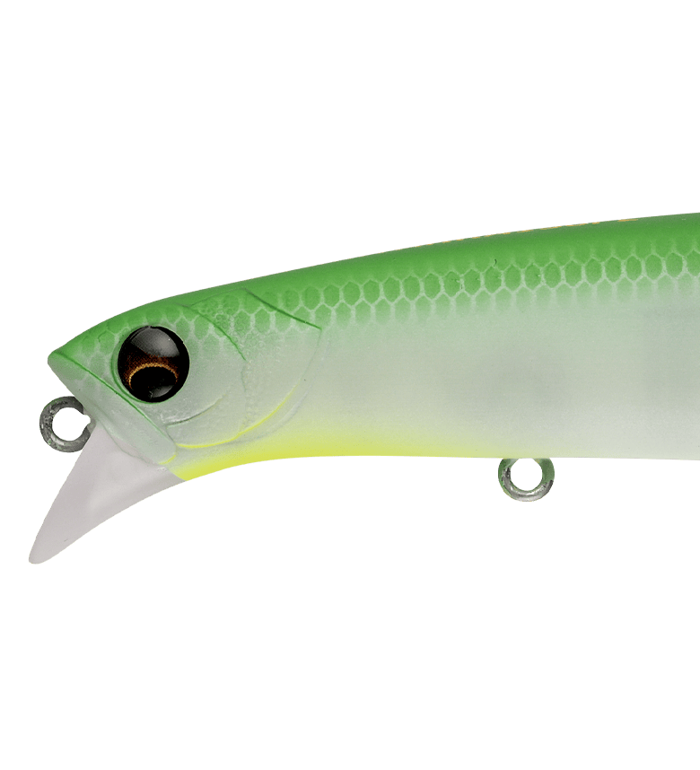 LAMMTARRA130FL