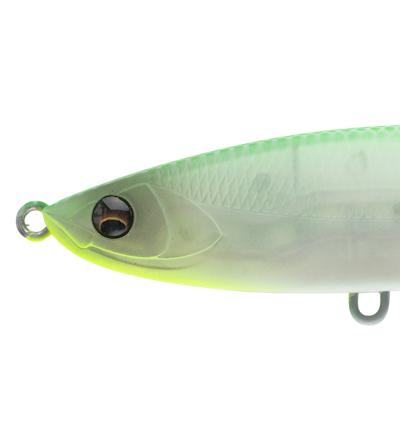 BALEINE100FL