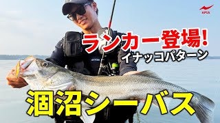 【涸沼に初挑戦!】関東のメジャーフィールドでランカーを狙う!