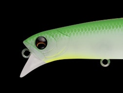 LAMMTARRA 130FL/BADEL 130SPL 発売のお知らせ