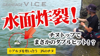 【水面炸裂！　チヌトップでまさかのダブルヒット！？】　ルアーを奪い合うクロダイたち…