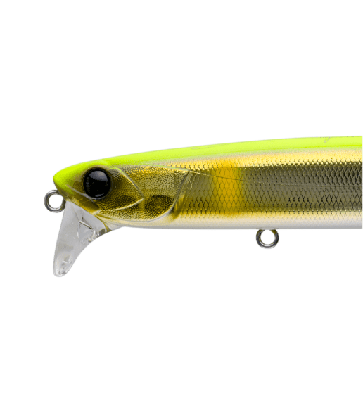 LAMMTARRA GIANT BADEL177