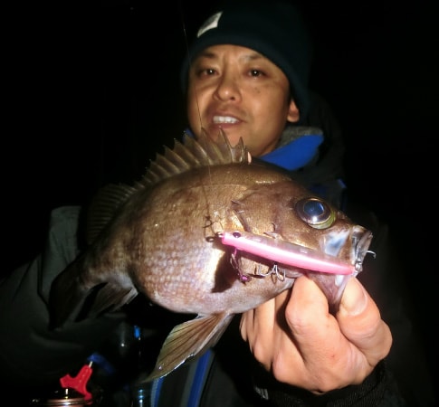 まちゃる 軒先渡し】ヤマソロ Abbie アビー オフィスチェア キャメル 1脚