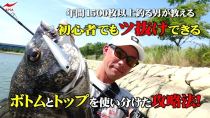 【初心者でもツ抜けできる！　ボトムとトップを使い分けた攻略法！】