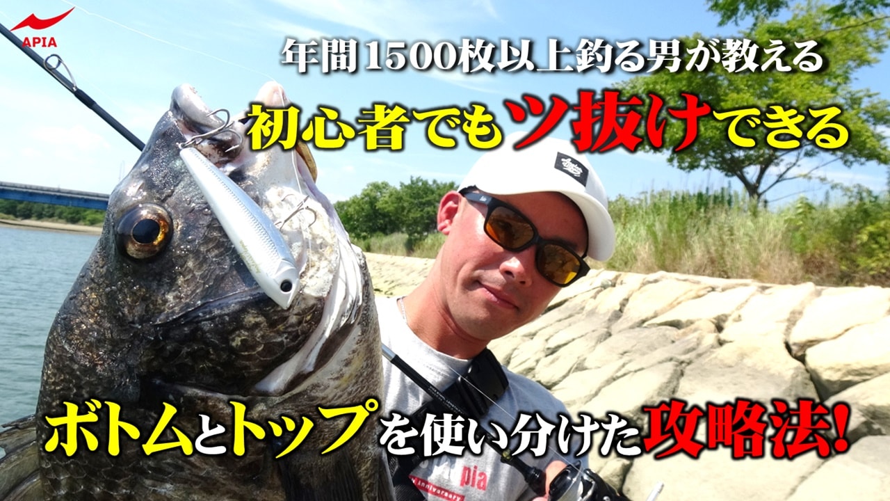 APIA GRANDAGE VICE C75ML 美品 APIA Grandage Vice C75ML - 【Bass Trout Salt lure fishing web