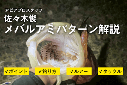 メバルアミパターン