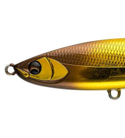 【WEB SHOP限定】BALEINE100FL限定カラー発売のお知らせ