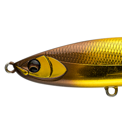 BALEINE100FL 限定カラー