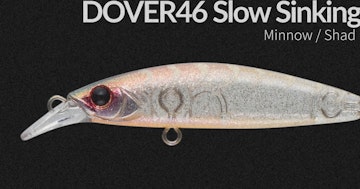 DOVER46 Slow Sinking