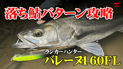 【落ち鮎パターン必須アイテム】全国で通用するバレーヌを使った落ち鮎パターン攻略法【秋田県・雄物川】