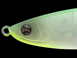 BALEINE100FL 発売のお知らせ
