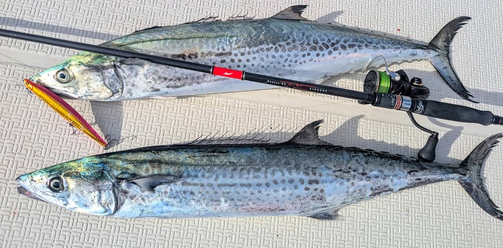 プロスタッフ “ジャークマン”林準悟 監修 海サクラマス専用ミノー