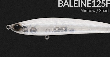 BALEINE125F