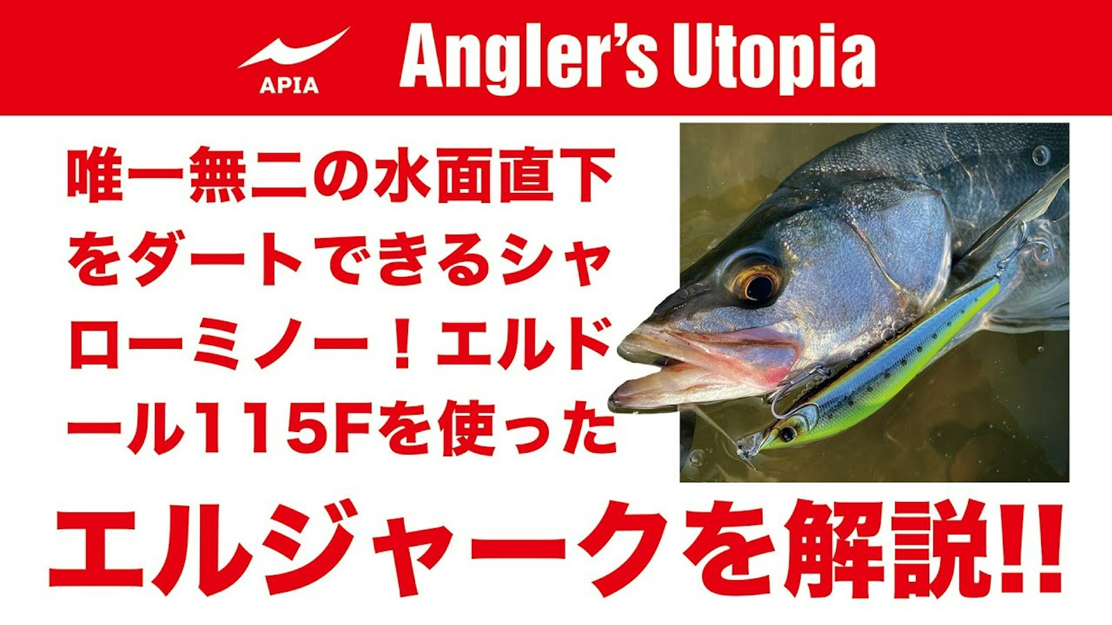 水面直下のダートで魚を狂わせる！】エルドール115Fのジャーキング 