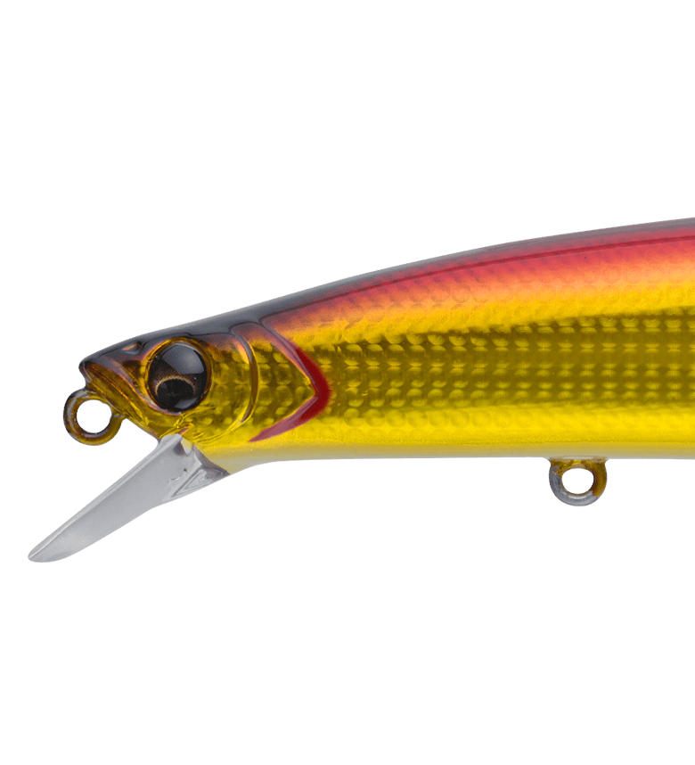 アピア グランドスウェル 108M ツララ ラテオ ディアルーナ フィッシュ