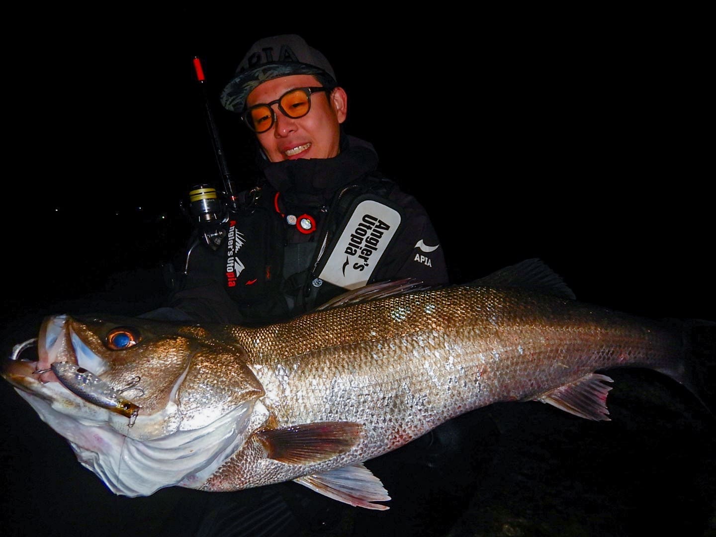 PUNCHLINE CURVY70SS | ルアー | APIA