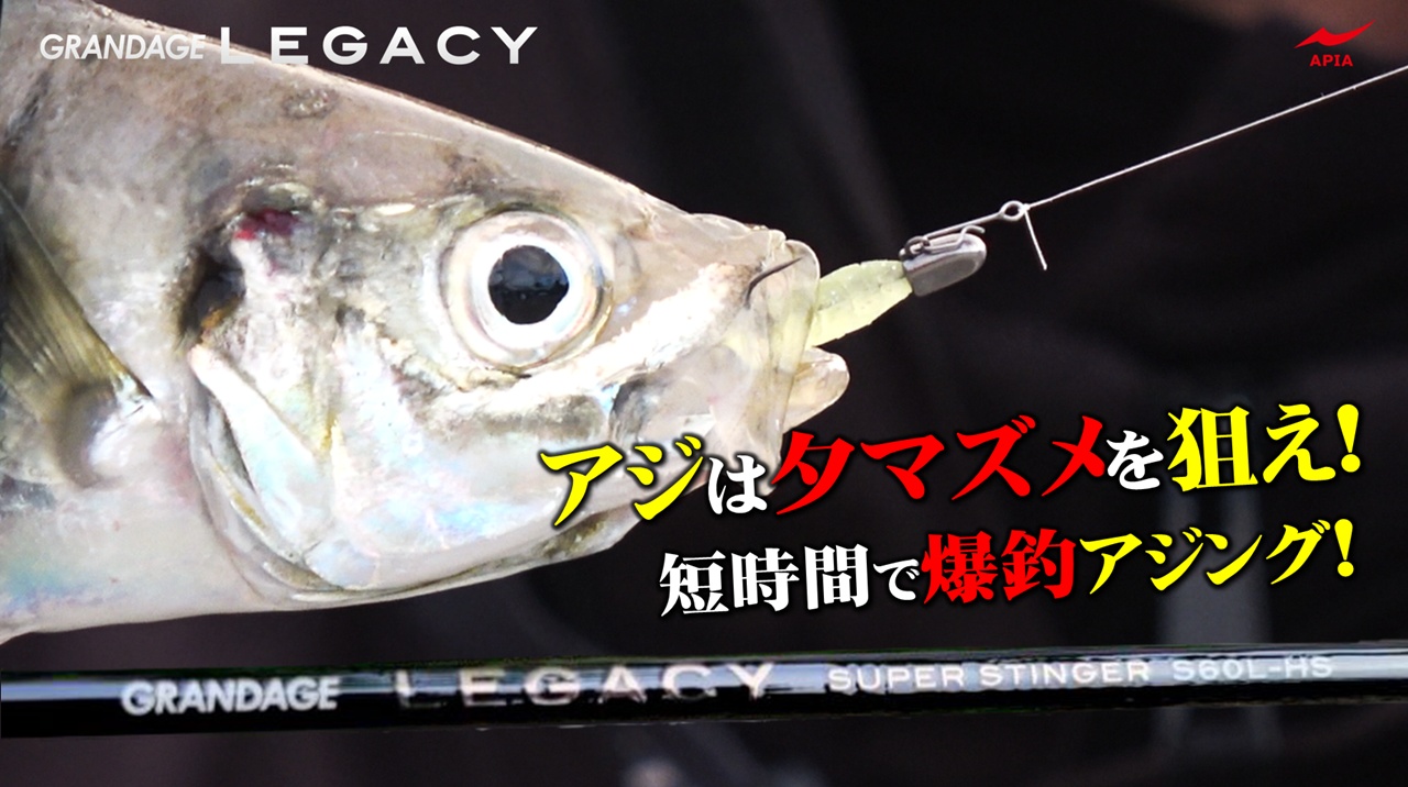 GANNET Plus | 装備 | APIA