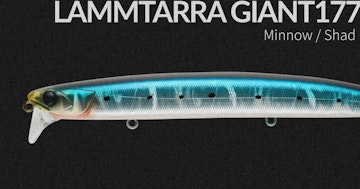 LAMMTARRA GIANT177
