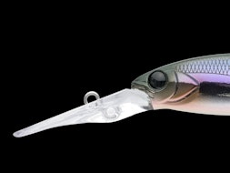 MAYOL70SL 発売のお知らせ