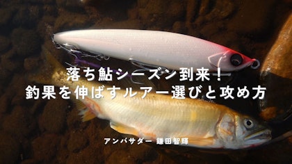落ち鮎シーズン到来！釣果を伸ばすルアー選びと攻め方　Written by 鎌田智輝
