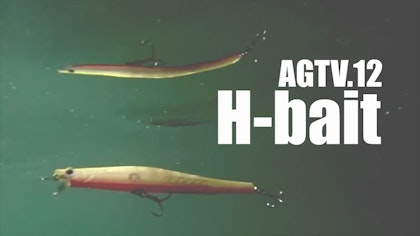  AGTV.12 【 H-bait 】（エイチベイト）松尾道洋解説＆水中動画