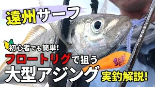 【遠州サーフ】サーフで狙うアジング！　初心者でも簡単！　フロートで狙う大型アジング実釣解説！！