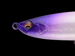 BALEINE160SPL 発売のお知らせと販売方法について