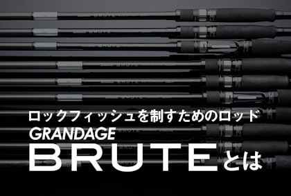 ロックフィッシュを制すためのロッド 『GRANDAGE BRUTE』　 Written by 佐々木俊