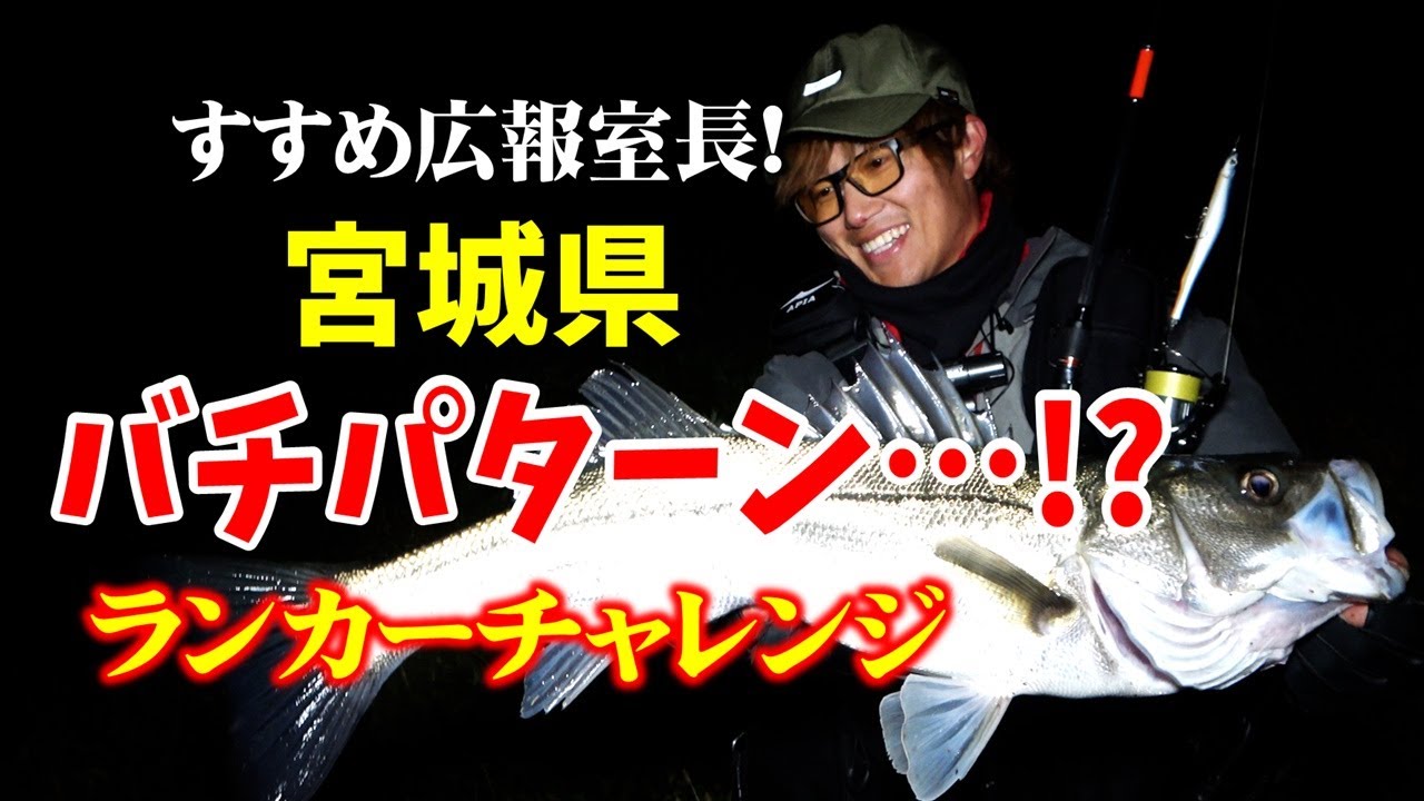 鯉魚95 Kobe 8 “Shanghai Fireworks” - Size: 11 - Description