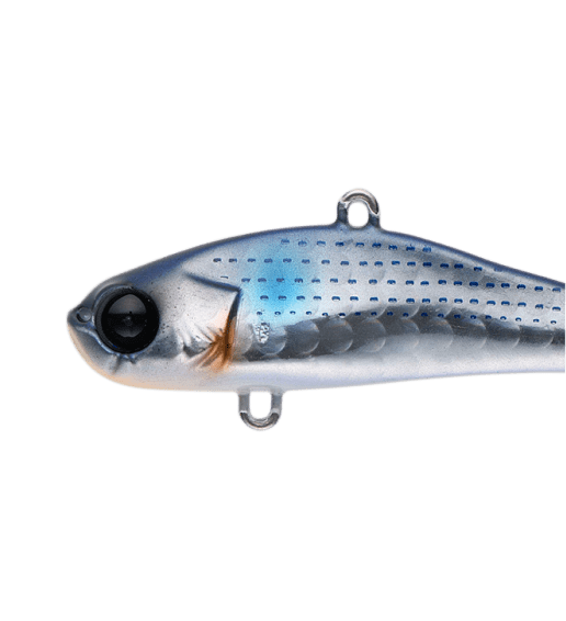bit-V26