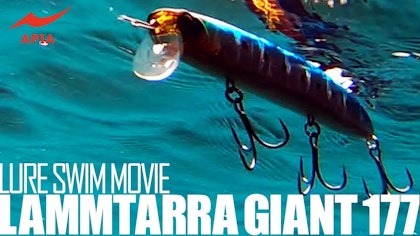 スイム動画【LAMMTARRA GIANT 177】 〜fimoTV