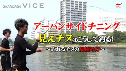 【アーバンサイドチニング！！見えチヌはこうして釣る！】　-釣れるチヌの見極めかた-