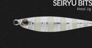 SEIRYU BITS