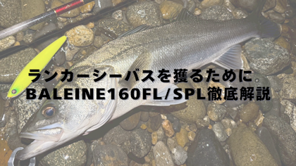 ランカーシーバスを獲るために。BALEINE(バレーヌ)160FL/SPL徹底解説 Written by 中井佑一郎
