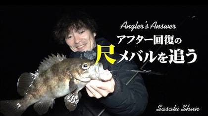 【Angler's answer　アフター回復の尺メバルを追う】
